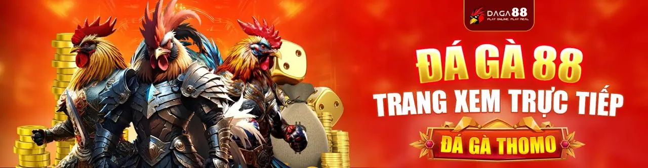 Đá gà trực tuyến tại KUWIN24 với những trận đấu kịch tính